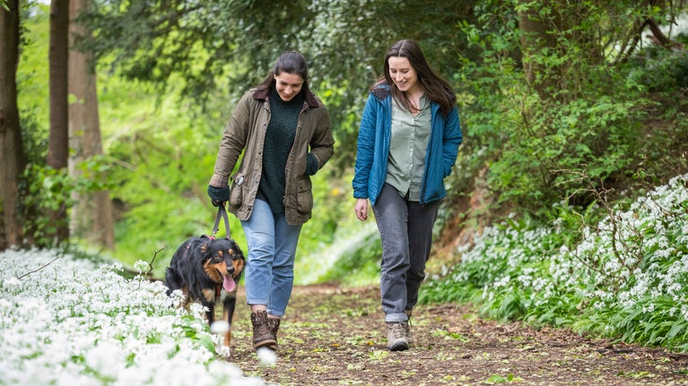 Two women walk a dog in spring